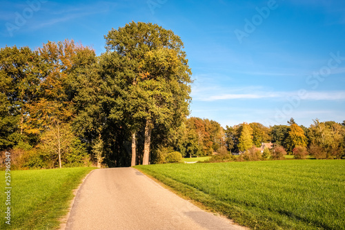 This tarmac road leads through green fields, dense forests and along farms located at the Tankenberg (near Oldenzaal) on a sunny october day but sun is setting. This is a typical Dutch landscape.
