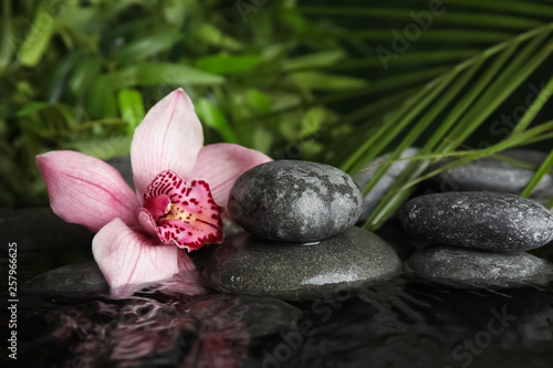 Zen stones and exotic flower in water against blurred background. Space for text
