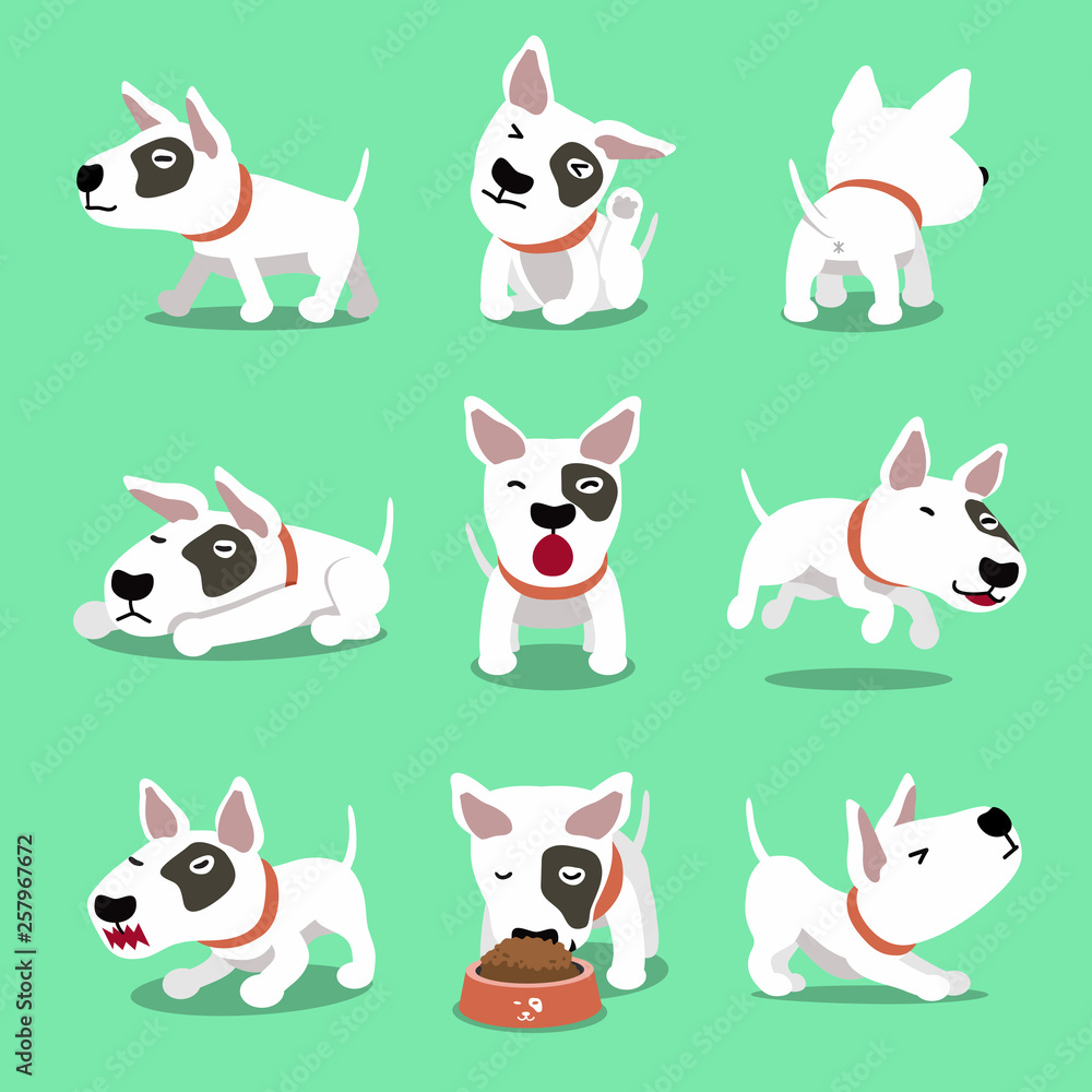 Vector cartoon character cute bull terrier dog poses for design.