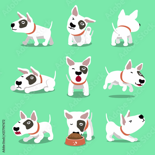 Vector cartoon character cute bull terrier dog poses for design.