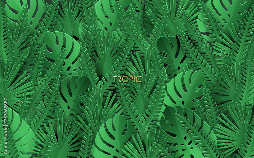 background with tropical leaves