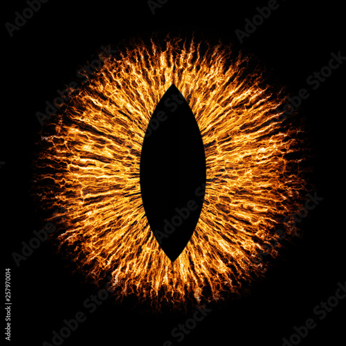 Dark evil animal eye iris macro illustration