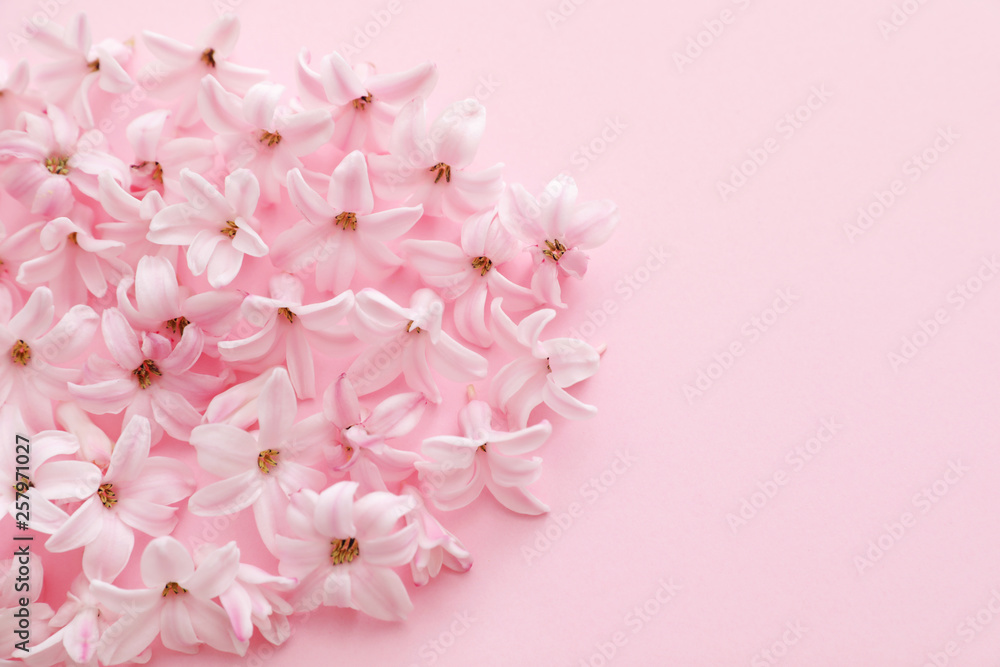 Pile of spring hyacinth flowers on color background, closeup. Space for text