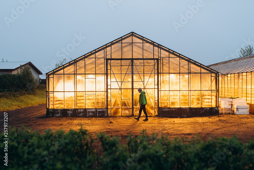 Obraz na plátně the greenhouse glows with yellow light in the supper