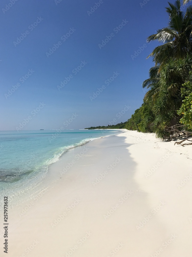 Fototapeta premium The white coast of the Indian Ocean in the Maldives near the jungle.