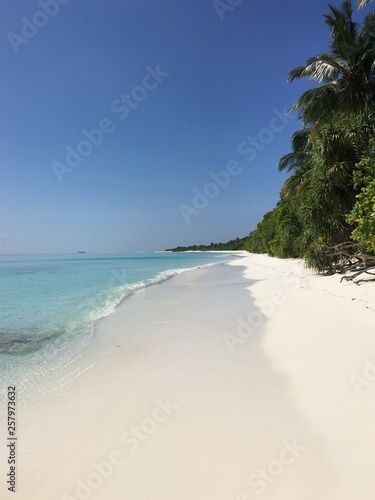 Fototapeta Naklejka Na Ścianę i Meble -  The white coast of the Indian Ocean in the Maldives near the jungle.