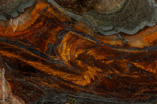 Macro stone tiger eye mineral in rock on black background