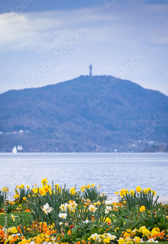 Flowers on beach Klagenfurt with lake Wörthersee and mountain Pyramidenkogel photo