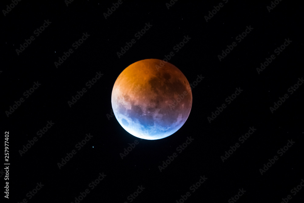 Fototapeta premium Blood moon, eclipse seen from, La Pampa,January 21, 2019 Argentina