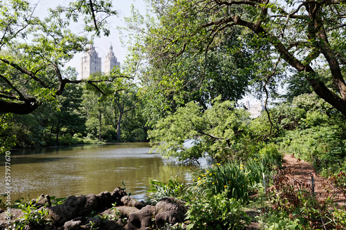 Central park