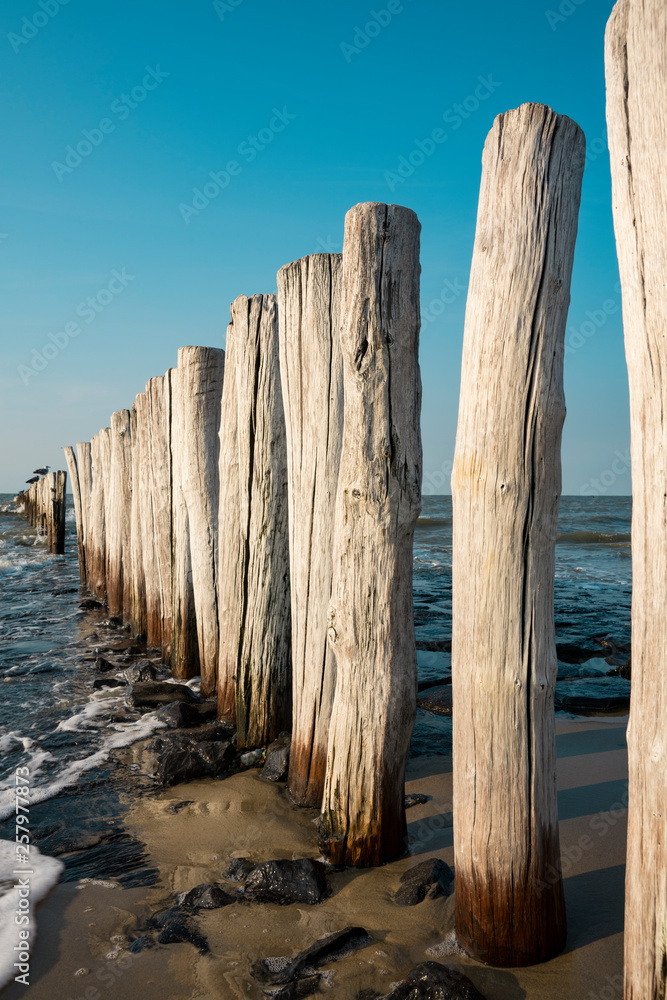 row breakwaters in the North Sea, Cadzand Bad, The Netherlands row breakwaters in the North Sea, Cadzand Bad, The Netherlands