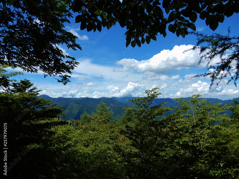 Obraz premium 御前山山中からの景色