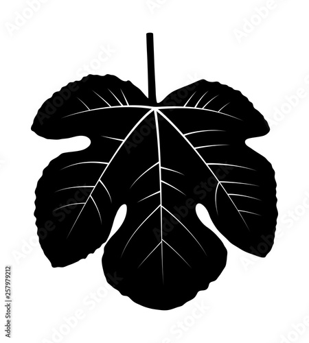 fig leaf