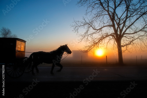 Amish Buggy in Silhouette at Dawn