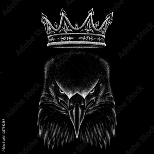 The Vector logo queen of eagles for tattoo or T-shirt design or outwear.  Hunting style angry bird eagle background.