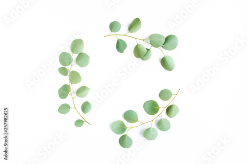 Round wreath frame made of branches eucalyptus isolated on white background. lay flat, top view