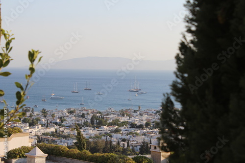 Coastal city view from the hill