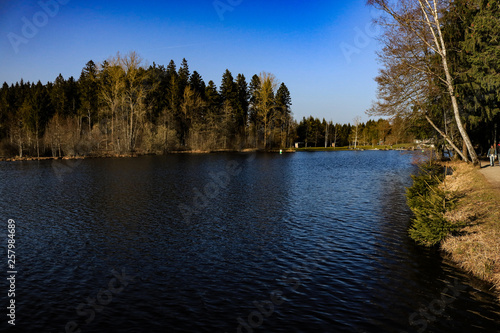 Waldsee Lindenberg im Allgäu photo