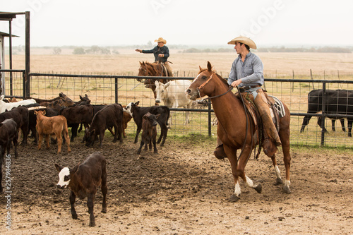 Cowboys on horses