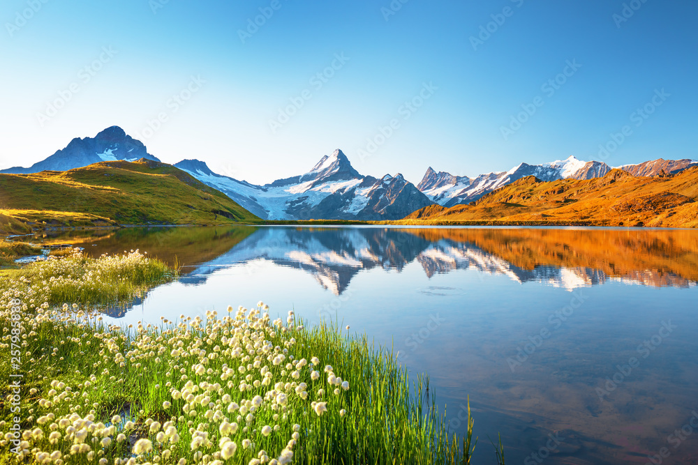 Sunrise view on Bernese range above Bachalpsee lake. Peaks Eiger, Jungfrau,Faulhorn in famous location. Switzerland alps, Grindelwald valley