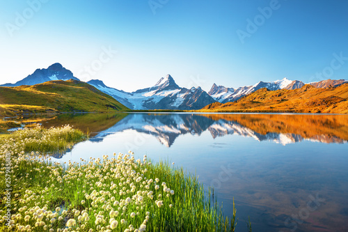 Obraz na płótnie Sunrise view on Bernese range above Bachalpsee lake. Peaks Eiger, Jungfrau,Faulhorn in famous location. Switzerland alps, Grindelwald valley w salonie