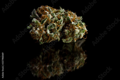 beautiful marijuana close up