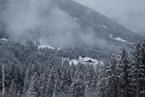 Berghang mit Nebel - Österreich