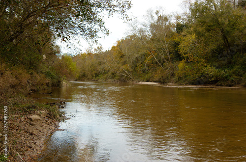 View of the Comite River at Comite River Park, a popular mountain bike trails site, Baton Rouge, Louisiana, USA.