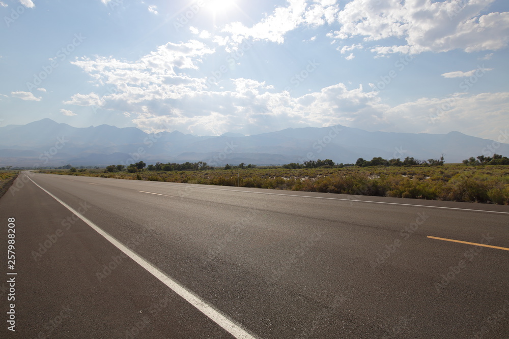 Fototapeta premium Road in desert