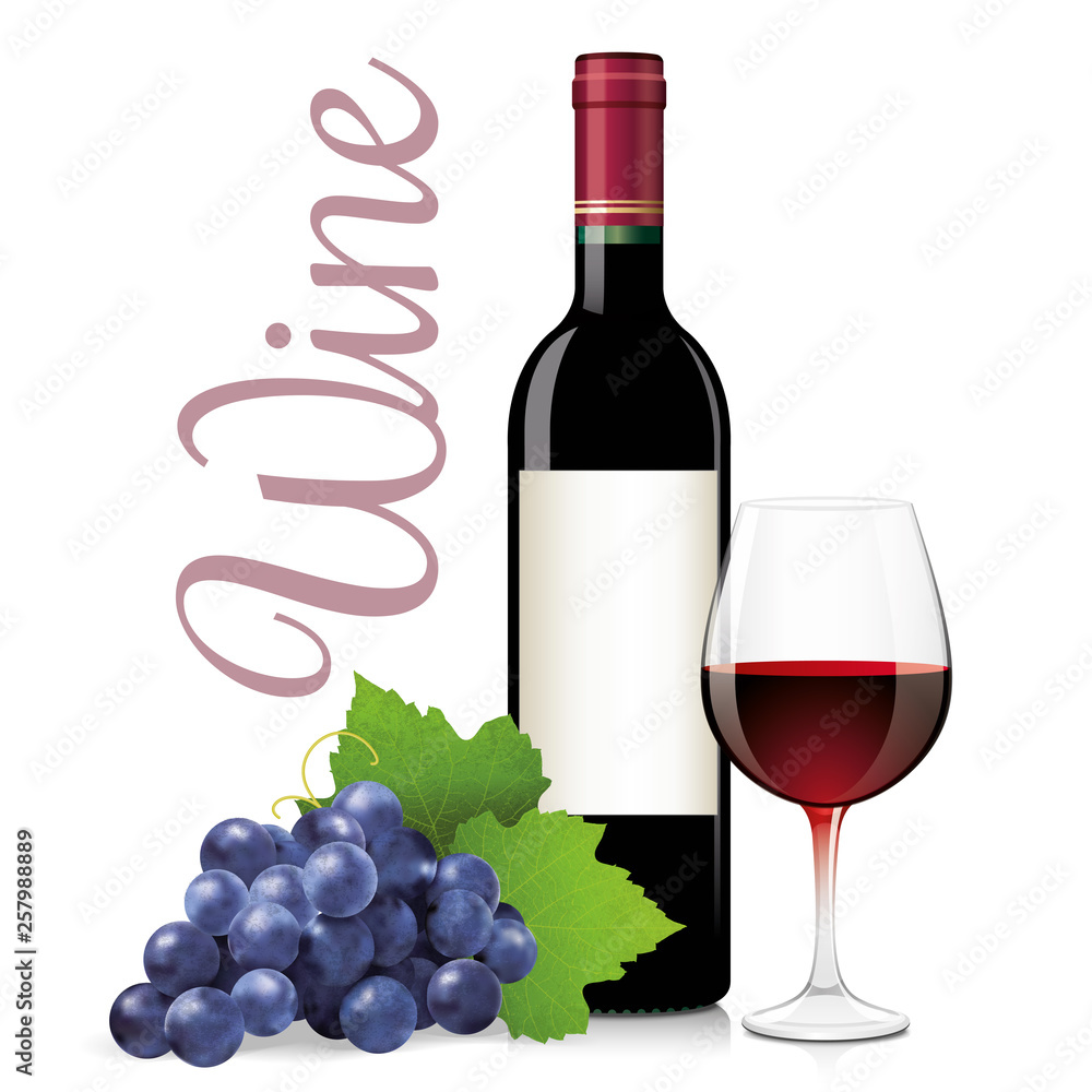 Bottle and glass of red wine with bunch grapes. Vector illustration