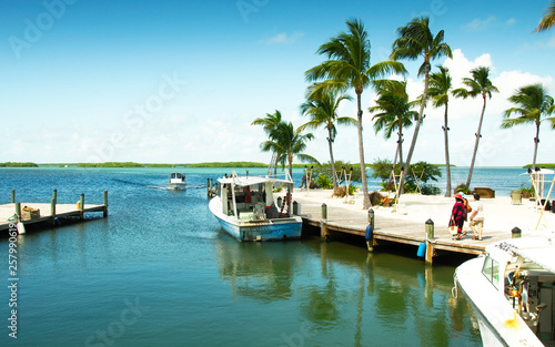 Fototapeta View of a marina at the gulf side (west) of the island, Islamorada, Florida, USA