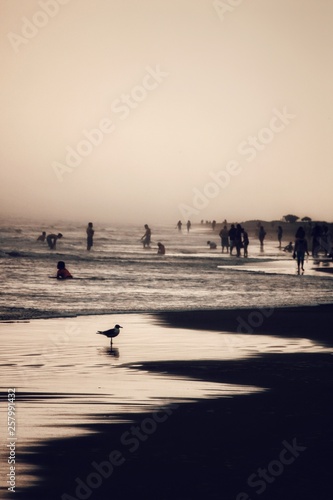 Konstfotografi Aniquilación