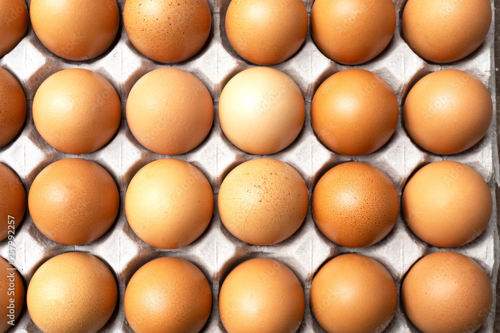 Close up group of fresh organic chicken eggs in paper tray from farm to market, Easter eggs concept. Close up group of fresh organic chicken eggs in paper tray from farm to market, Easter eggs concept.