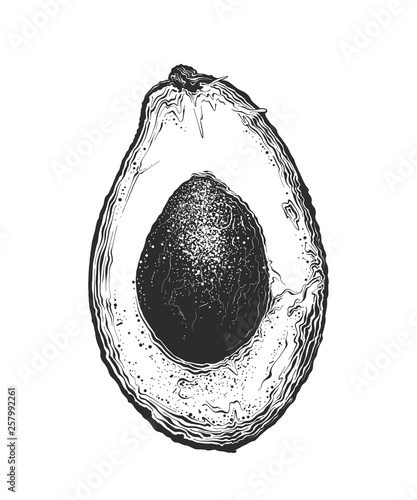 Hand drawn sketch of half avocado in black color. Isolated on white background. Drawing for posters, decoration and print. Vector illustration