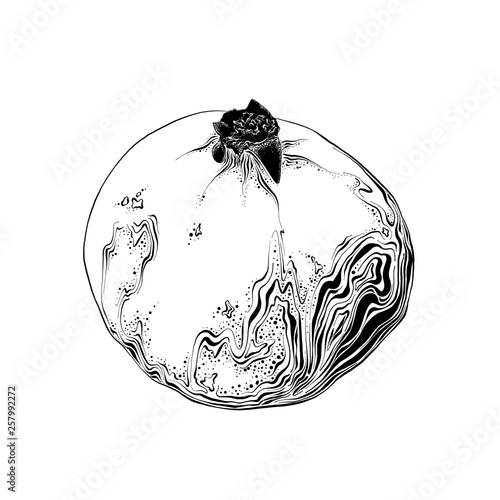Hand drawn sketch of garnet in black color. Isolated on white background. Drawing for posters, decoration and print. Vector illustration