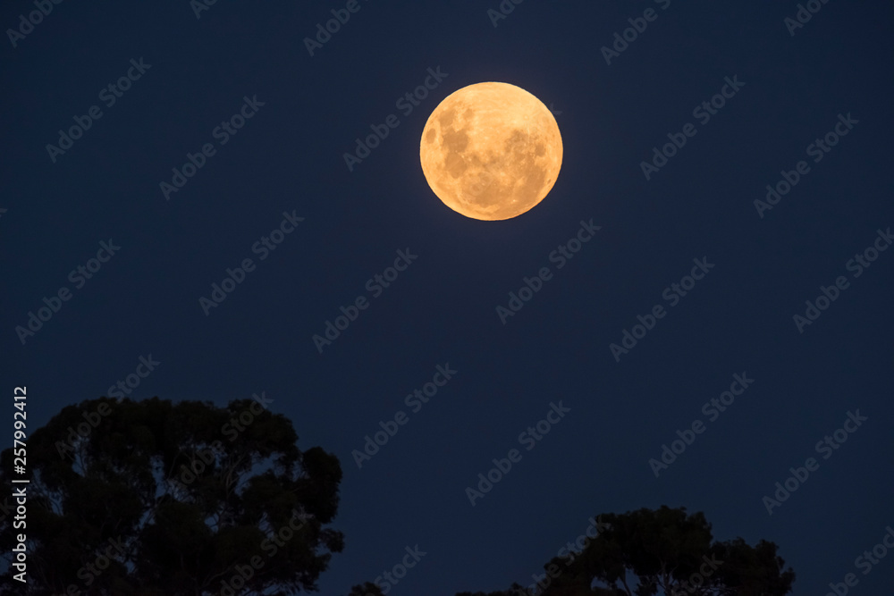 Blood moon, eclipse seen from, La Pampa,January 21, 2019 Argentina Blood moon, eclipse seen from, La Pampa,January 21, 2019 Argentina