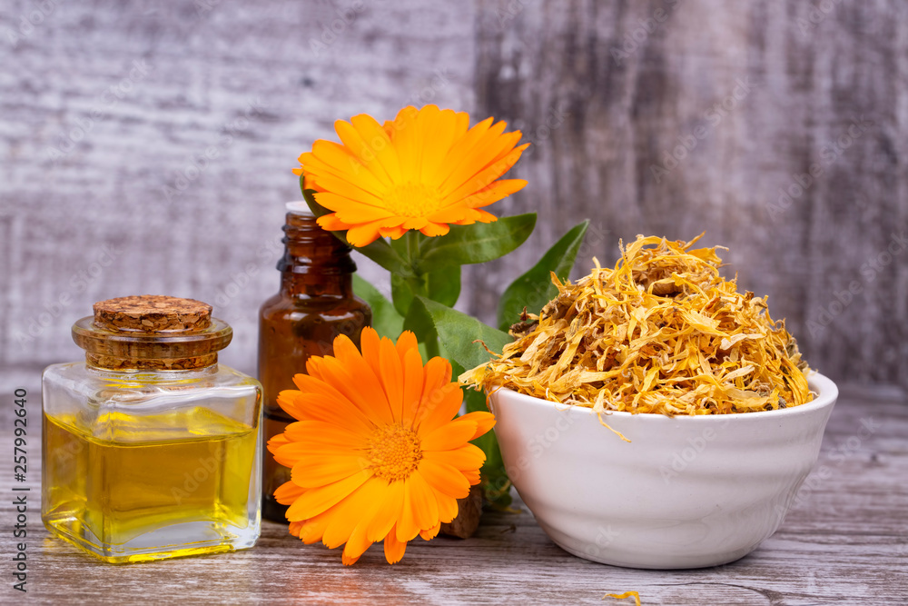 Herbal calendula officinalis in the glass and drop oil Isolated Herbal calendula officinalis in the glass and drop oil Isolated