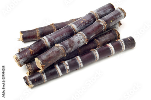 Sugar cane isolated on white background 