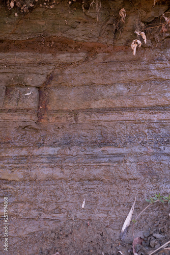 фотографія The stratum layers