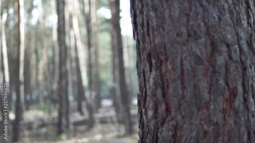 Girl walking in the woods. Traveler in nature.