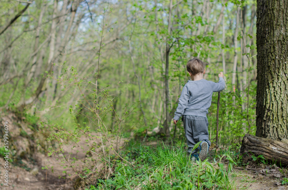 Boy walk or hike through the forest in early spring Boy walk or hike through the forest in early spring