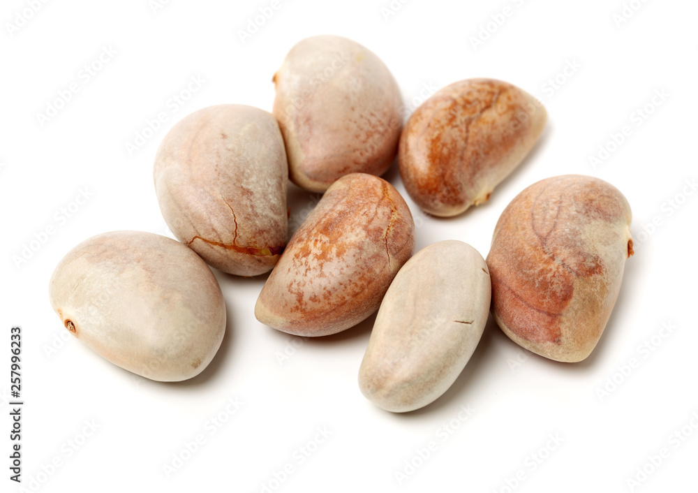 Raw Jackfruit seeds on white background Raw Jackfruit seeds on white background