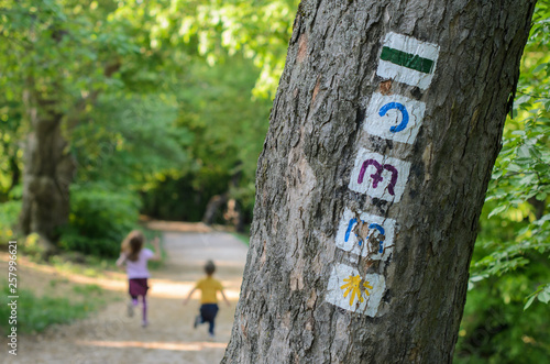 Trial signs on the tree and running children in the Normafa forest photo