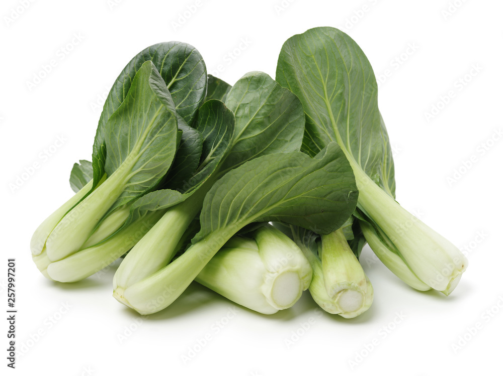 Pok Choi on white background Pok Choi on white background