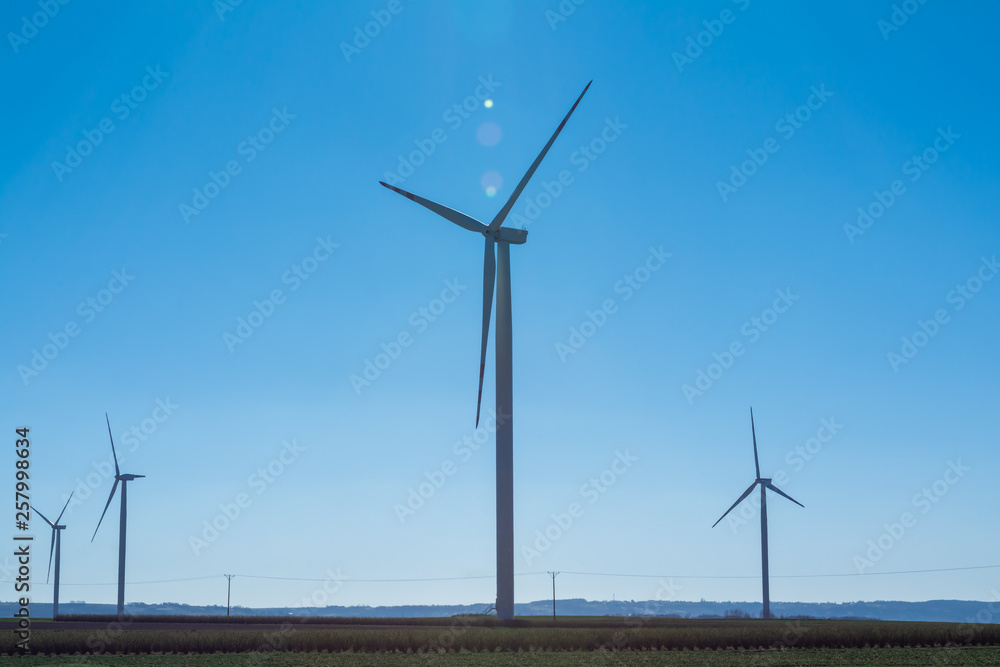 Field with windmills for electric power. Clean energy produced by the wind. Extraction of energy from the air Field with windmills for electric power. Clean energy produced by the wind. Extraction of energy from the air