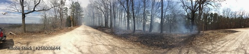 Wildfire in Park Along Road