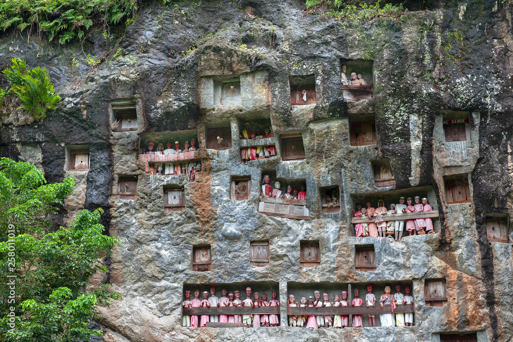 Fototapeta premium Cliffs burial site, traditional burial ground in Tana Toraja, worldwide unique ancestor cult of Sulawesi, Indonesia