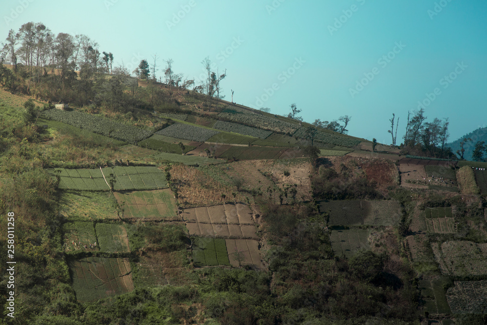 Fototapeta premium Rural farmland in Guatemala with clear sky