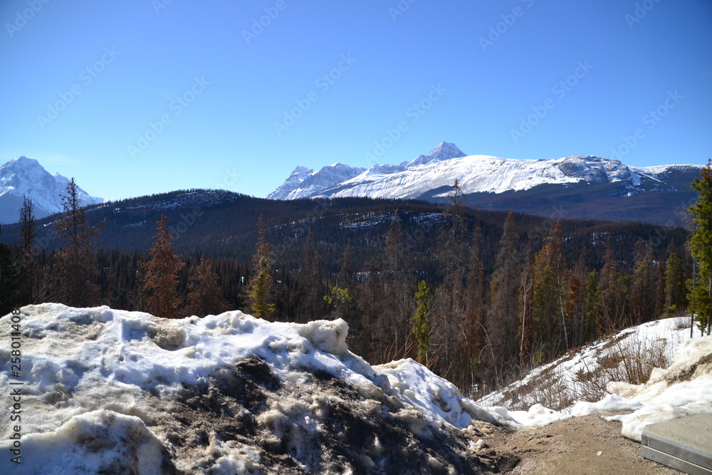 Athabasca Lookout in Winter