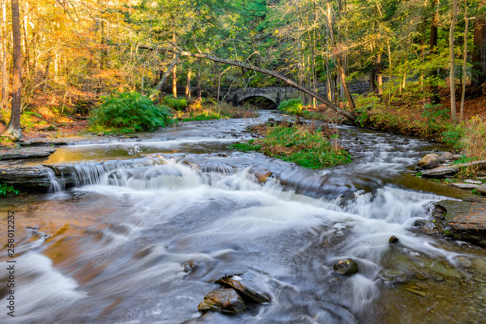 Sunny Creek Rapids